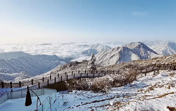 Chengdu Private Day Tour with Car 2.webp