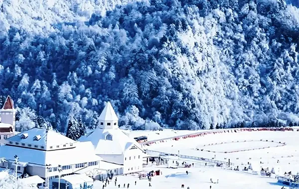 Chengdu Private Day Tour with Car 3.webp