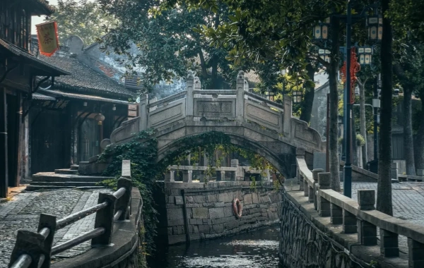 Bridge Walk.webp