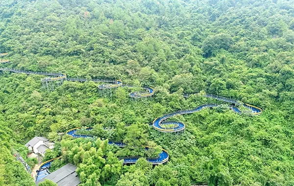 1-Day Hangzhou to OMG Park 5.webp