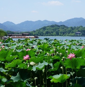 Hangzhou