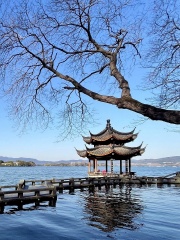 Ancient Town and Nature Tour from Shanghai