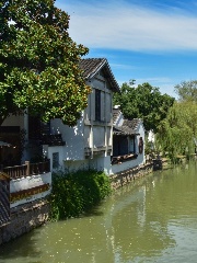 Discovery Tour of Chinese Gardens