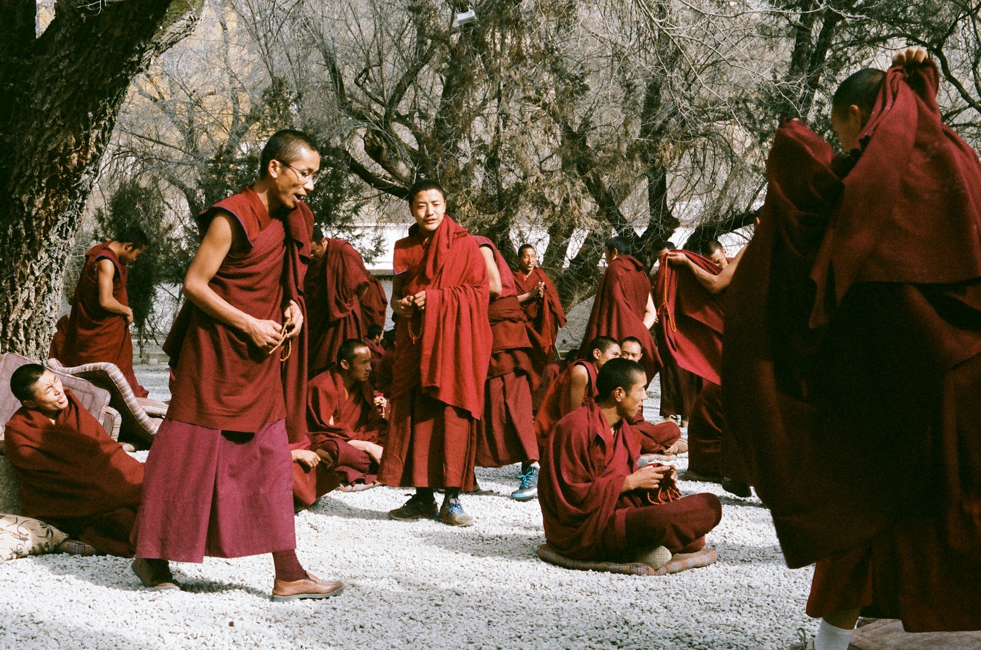 Tibet's Top 10 Must-Do Travel Activities
