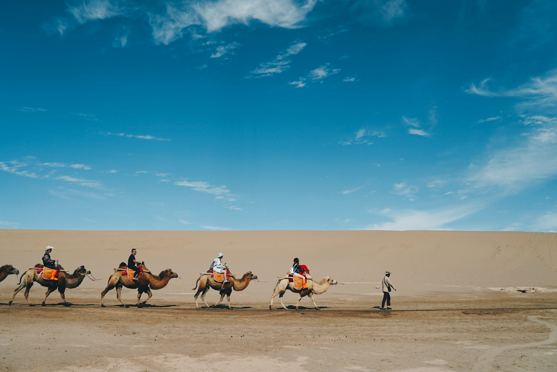 Gansu's Top 10 Must-Do Travel Activities