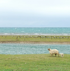 Qinhai Lake