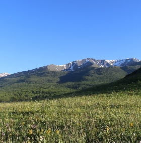 Nalati Grassland