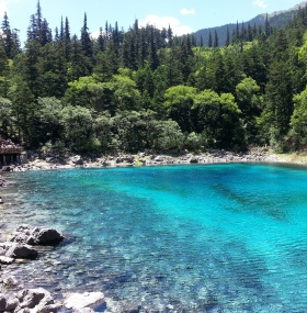 Panda, Ancient Town & Jiuzhaigou-Huanglong Tour