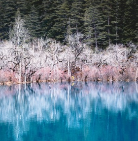 Jiuzhaigou & Huanglong Photography Expedition