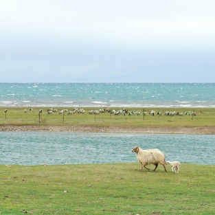 Discover Qinghai's Best Highlights