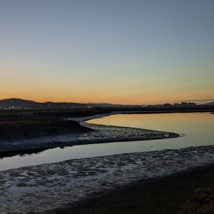 Top 10 Wetlands in China for Nature Enthusiasts