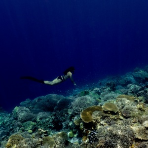 Dive Into Sanya's Underwater World