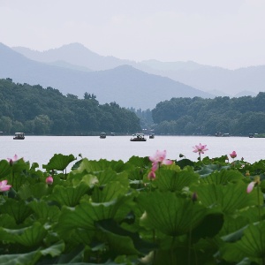 Hangzhou: A Perfect Family Travel Destination of Adventure and Relaxation