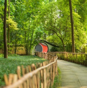 Chengdu’s Best Walking Tours: Discover the City’s Hidden Gems