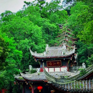 Is Late January a Good Time for a Leisurely Trip to Chengdu?