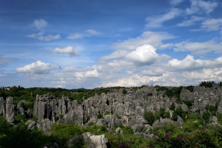 The first stop on China trip, the world's first wonders-the Stone Forest Scenic Area