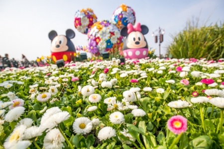 Have fun in spring! Take your kids to these 3 places in Shanghai