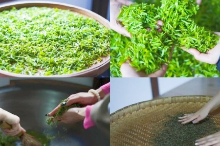 China Tour: Exploring the Tea Culture 