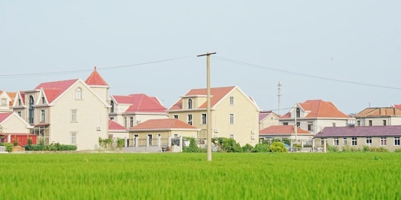 1739328666520.jpg 横沙岛.jpg