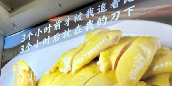 Hanhai Chicken Rice.png