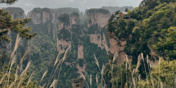 1741243495240.jpg Yuanjiajie Scenic Area,day trips from zhyangjiajie.jpg