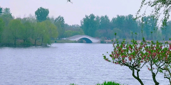 Grand Canal Tongzhou Forest Park.jpg