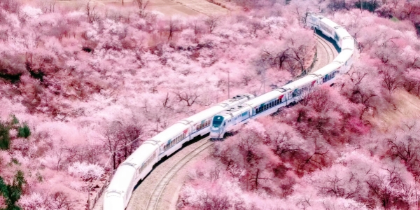 Juyongguan Great Wall.jpg