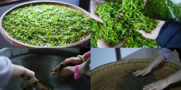 china tour,tea.jpg