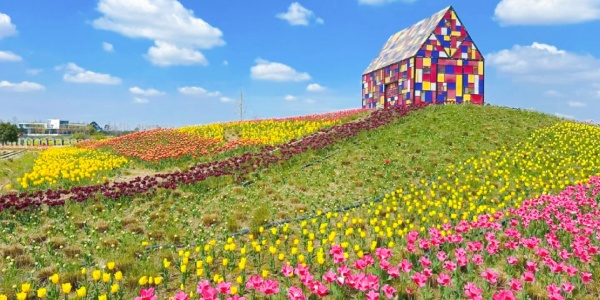 the Weiran Flower Sea.jpg