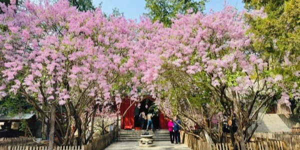 Dajue Temple.jpg