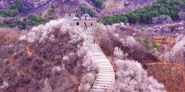 Great Wall8.jpg