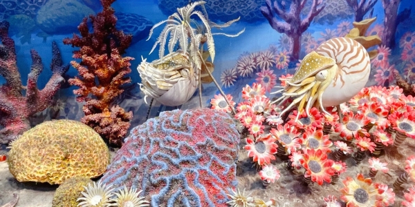 National Natural History Museum.jpg