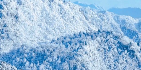 the beauty of nature，3.jpg