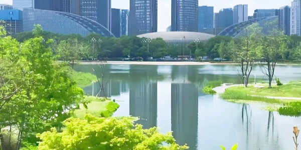 1742363460279.jpg Chengdu Twin Towers,2.jpg