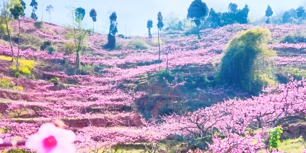 spring outing,3.jpg