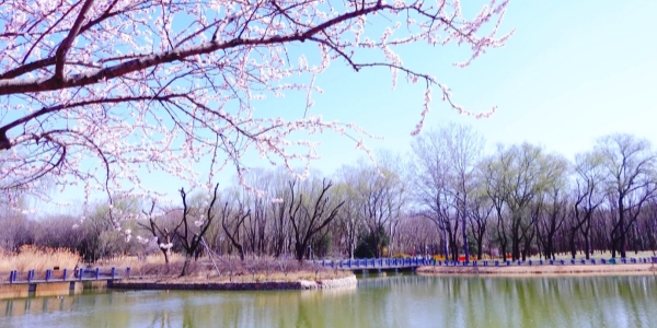 Jiangfu Park .jpg