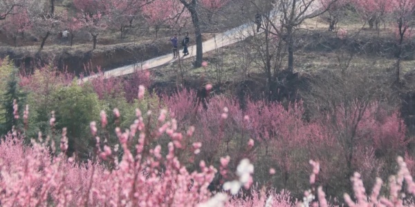 Zhanglong Village.jpg