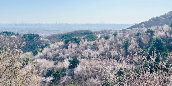 Baiwangshan Forest Park.jpg
