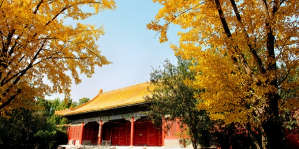 Forbidden City.1.jpg