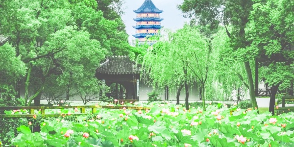 Suzhou tour from Shanghai,How do I get from Shanghai to Suzhou,<a class='seo-content-a'  target='_blank'  href = 'https://intotravelchina.com/html/web/hangzhou/index.html'>china travel</a>,1.jpg