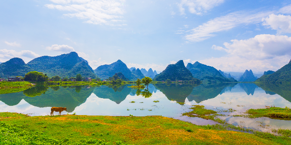 Li River1.png