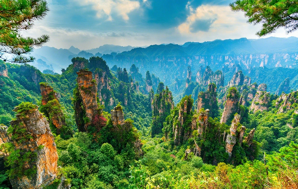 11 Days Beijing Xi'an Zhangjiajie Shanghai Group Tour