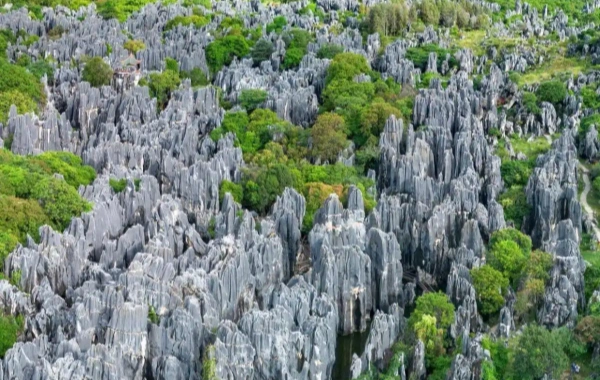 Karst & Canton Tour