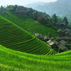 Guilin's Top 10 Natural Wonders: A Journey Through Earth's Masterpieces