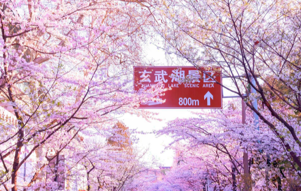 Xuanwu Lake