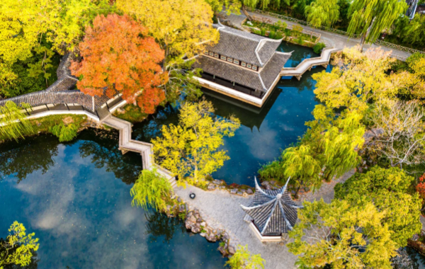 Humble Administrator's Garden