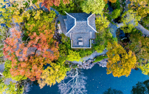 Humble Administrator's Garden