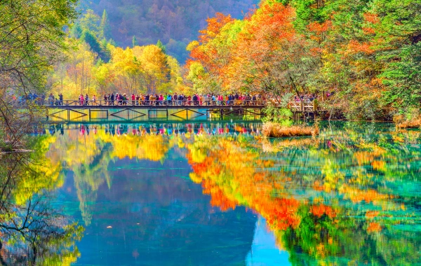 7-Day Chengdu Classic Tour (chengdu-huanglong-jiuzhaigou-dujiangyan-emei-leshan)