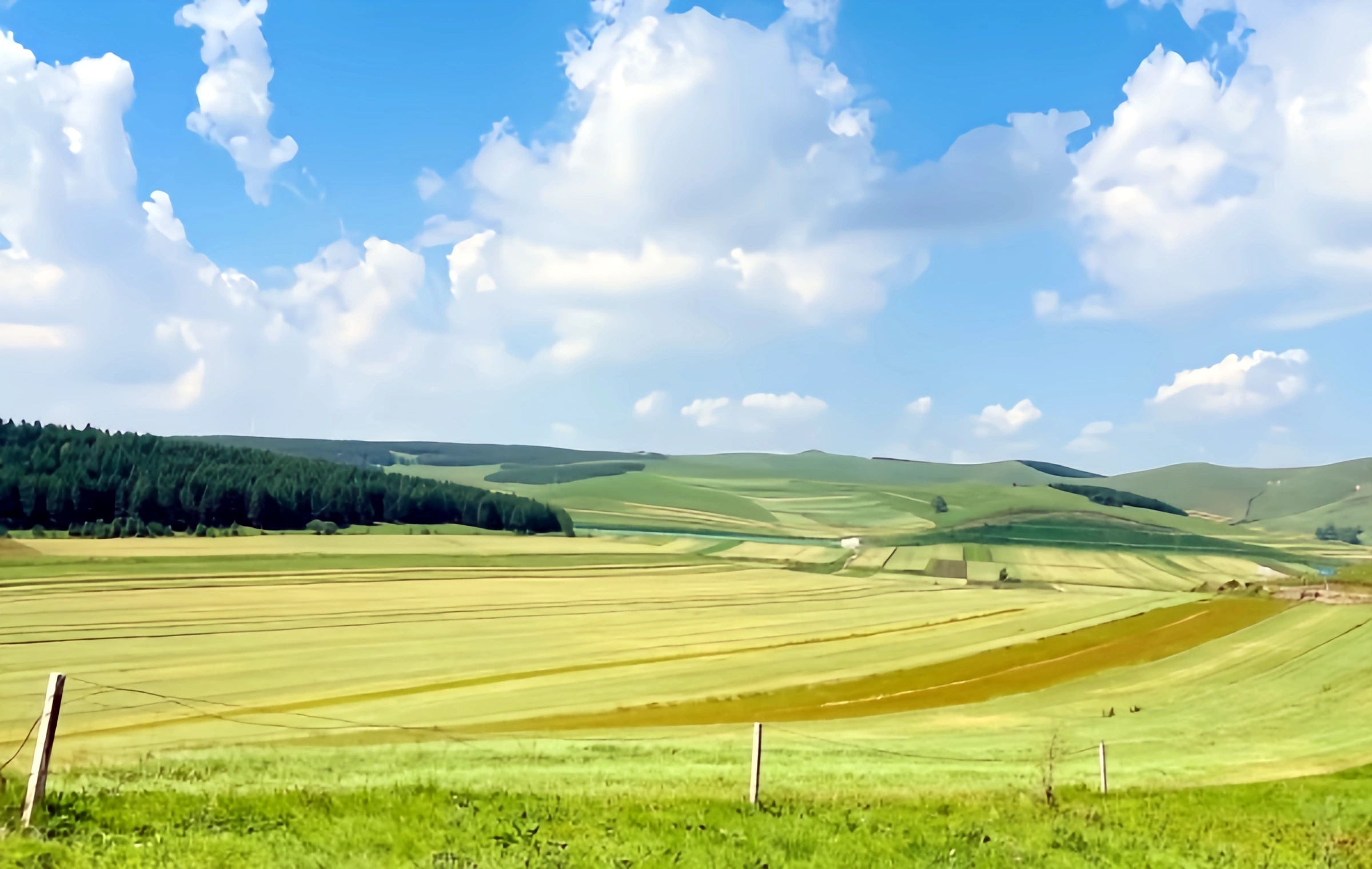Grassland Sky Road