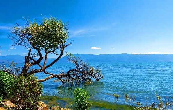 Erhai Lake